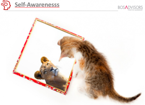 Do you see a cat or a lion in the mirror? What do others see?